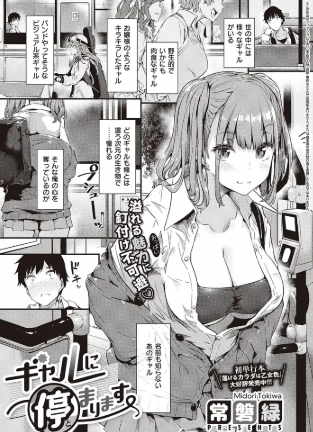 ギャルに停まります